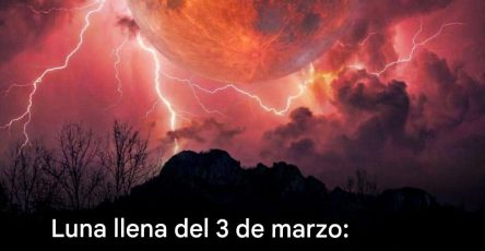 628728831 1371991814967501 8320326203432841950 n