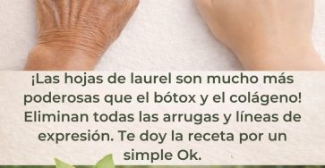 656961696 122169627812619198 6549592983492464917 n