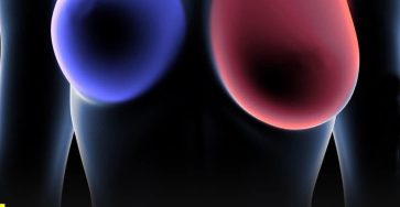 657221311 928961523324946 1649325042665773099 n