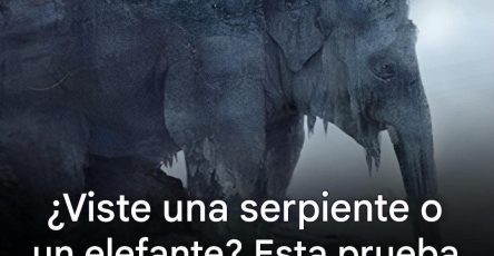 659146097 1504018004636122 191001857764490565 n