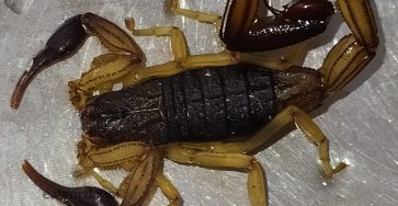 667548859 1510139687348235 4783564202868903610 n