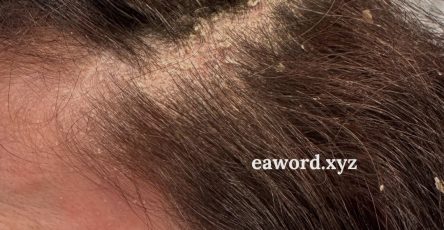 668102861 950720007888942 3146909512084399537 n