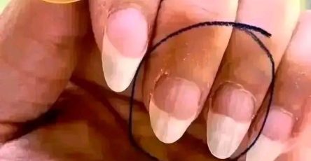 WhatsApp Image 2026 03 18 at 03.06.41